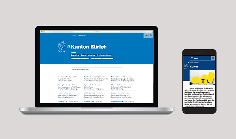 Website Kanton Zürich